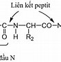 Chất Đạm Protein Trong Nước Tương Có Nguồn Gốc Từ