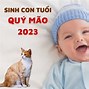 Con Gái Sinh Năm Rồng Có Tốt Không