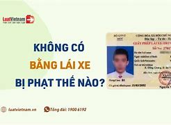 Không Bằng Lái Có Bị Giam Xe Không