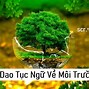 Thuyết Trình Về Môi Trường Nước